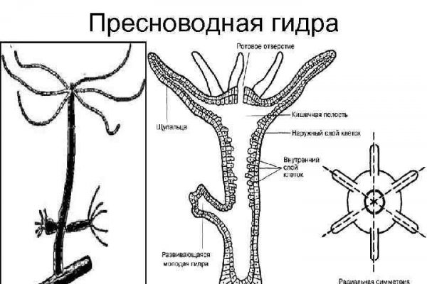 Не получается зайти на кракен