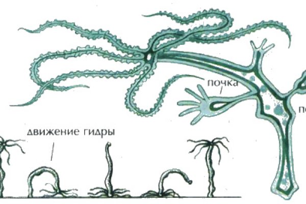 2krn сс
