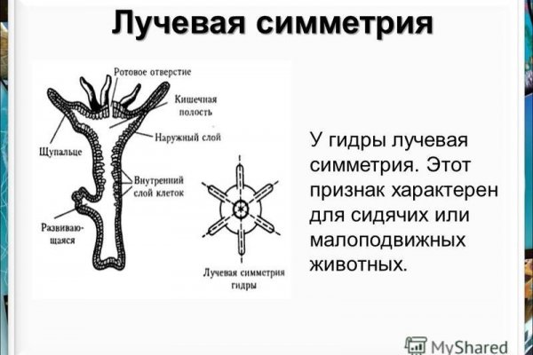 Не могу зайти на сайт кракен