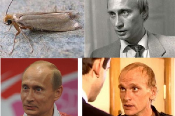Кракен как зайти на сайт